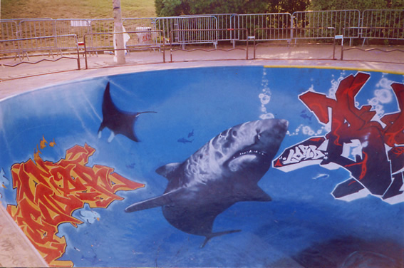 Le Requin du grand bowl